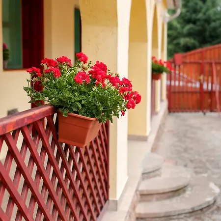 Fuzfa Vendeghaz Guest house *